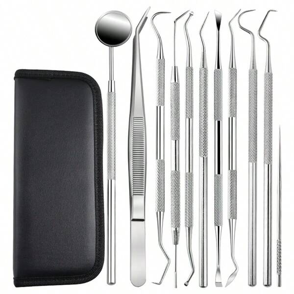 Dental Tools, Toothpick Cleaning Kit, Tongue Cleaner, Stainless Steel Toothpick Set - Reusable, Portable Storage Box, Convenient For Outdoor Picnic, Camping, Travel And Daily Use