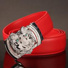 1 条宽度 3.5 厘米白色休闲腰带，配虎头扣，彩色表带，自动扣，适合日常佩戴