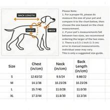 猫咪连衣裙夏季薄款防掉毛小猫公主风连衣裙苏格兰折耳猫幼猫小狗衣服 - 黃色 - 查看 6