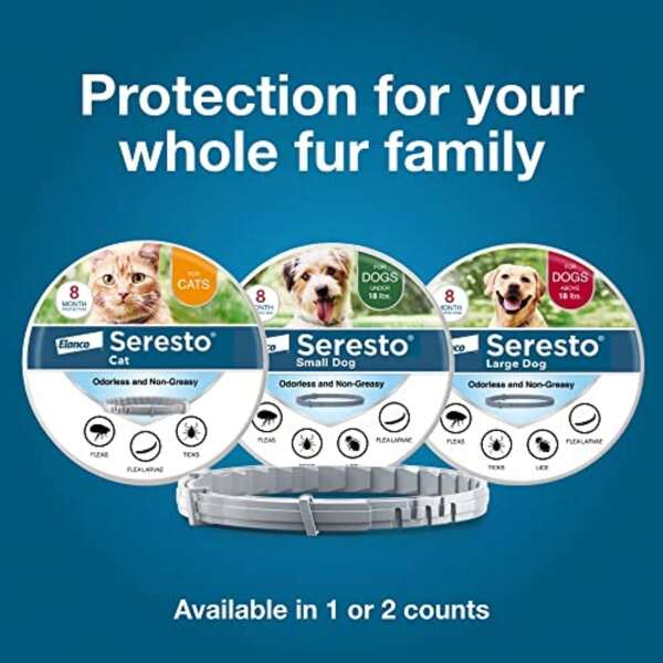 Large Dog Vet-Recommended Flea & Tick Treatment & Prevention Collar For Dogs And Cat