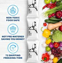 Ice Pack Bulk-Dry Ice For Shipping Frozen Food-Lunch Box Ice Packs-3 Pounds-24+Hours-Slim 15x12in/5x3in-Reusable Ice Packs-Freezer Packs-Ice Packs Shipping-Dry Ice Packs For Shipping-12 Pack- - Multicolor - View 9