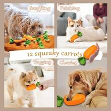 iDestry Dog Toys Carrot Snuffle Mat For Dogs Cats Puzzle Toy With Carrots For Small Medium Large Interactive Pet Stress Relief Dogs Chew Toys