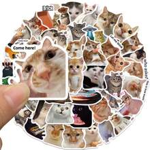 50张趣味表情包贴纸 可爱猫咪贴纸 表情包猫咪贴花 卡通搞笑猫咪贴纸 表情包动物贴纸 乙烯基防水贴纸 适用于水瓶、电脑、笔记本电脑、手机、行李箱、笔记本、冰箱 - 彩色 - 查看 6