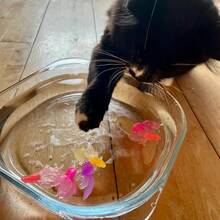 10/11pcs Colorful Realistic Floating Goldfish, Foldable Kitten Water Bath Toy Set, Random Color Plastic Fish Aquarium Decorations, Cat Bathing Playset