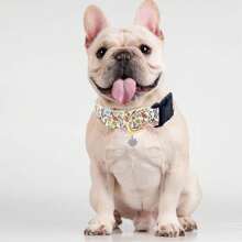 Collier pour chien mignon avec breloque fleur rose jaune blanc collier réglable pour animal de compagnie avec motif floral pour chien femelle mâle petit moyen grand