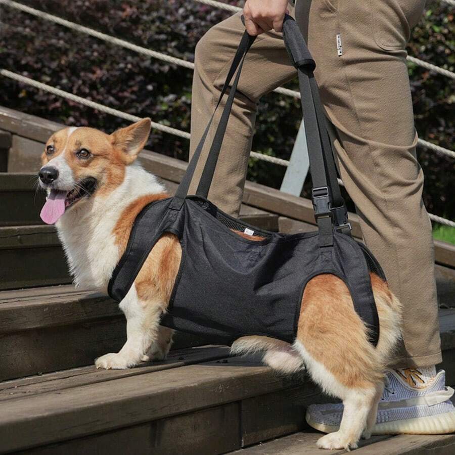 狗狗全身輔助帶，寵物攜帶袋，適用於老年犬與殘疾犬的復健運動輔助帶，可協助狗狗行走與爬樓梯，適合狗狗外出使用，黑色，S-XXL