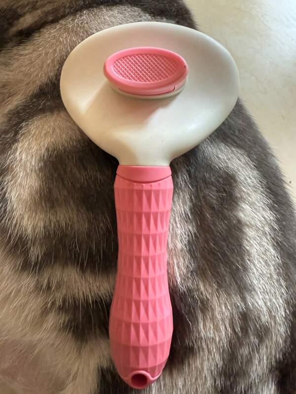 1 stuk Hondenborstel, Kattenborstel, Vlooienkam, Automatische reinigingsborstel, Verzorgingsborstel voor huisdieren, Massageborstel voor huisdieren, Verhaarborstel, Klittenbreker, Ontklitkam, Automatische ontharingsborstel, Reinigingstool voor huisdieren, Haarverzamellabel, Hondenborstel, Kattenborstel, Kam voor het verzamelen van dierenharen, Accessoires voor dieren, Huisdierbenodigdheden