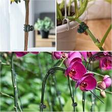50/100PCS Plastic Plant Support Clip Orchid Stem Clip For Vine Support Vegetable & Flower Bundle Tie Branches Clamp Gardening Tools Vine Support Frame Vegetable & Flower Bundle Tie Branches Fixed Clamp Gardening Climbing Rack