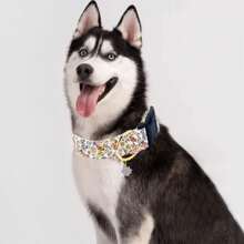 Collier pour chien mignon avec breloque fleur rose jaune blanc collier réglable pour animal de compagnie avec motif floral pour chien femelle mâle petit moyen grand