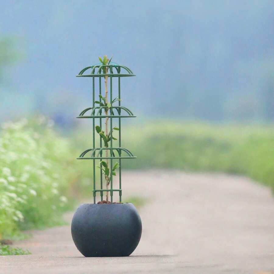 Small Multi-Loop Umbrella Type Garden Trellis, Iron Wire Climbing Frame For Vines, Passion Flower Lantern, Plant Climbing Frame For Roses And Mushroom Trellis - Multicolor - View 1