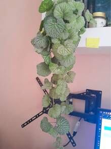 40/70cm Artificial Hanging Vines Fake Begonia Plants Silk Grape Rattan Real Touch Vivid Vine Leaves Hanging Scindapsus Garland For Home Garden Indoor Balcony Decor Without Pot 1pc