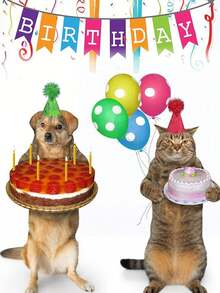 Mini Party Hats For Pets, Adjustable Sequin Birthday Caps For Dogs & Cats, Pastel Party Hat For Dog, Cat For Birthday Party, Birthday Party Cone Hat, Cake Cone Birthday Paper Hat,Bachelorette Party Party Decorative Hat,Suitable For Dogs,Cats, Rabbits - Multicolor - View 3