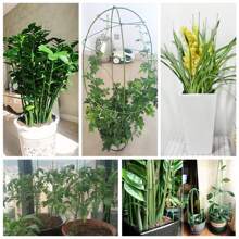 10pcs/20pcs Plant Support Stake / Flower Rod / Greenery Fixing Rod Plant Stake, Plant Rod, Garden Green Bendable Single Stem Plant Support Stake Suitable For Indoor And Outdoor Plants Potted Plants Flowers Orchids Peonies Roses Simulation Flower Rods Diy Handmade Floral Wire Green Flower Rods Simulation Fake Flower Wire Bendable Flower Rod
