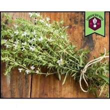 Vibrant Colors 37,900 Summer Seeds |     Heirloom, Non-GMO, Culinary Herb Cultivation, Easy-To-Grow Seed Package For Container Gardens, Satureja Hortensis - 150件 - 查看 5