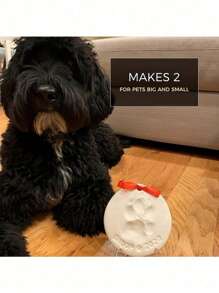 1pc Cat And Dog Paw Print Clay Kit - DIY Keepsake Set With Bracket, Golden Paint, Brush, Mold Box, Letter Mold, And Ribbon For Pet Birthday Gift, Material: Clay, Includes 2 Bags Of Printing Clay