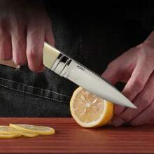 Ensemble de couteaux de cuisine multifonctions - comprend un couteau à désosser, un couteau à fruits, pour le camping en plein air, la découpe de la viande, des fruits et légumes, le barbecue