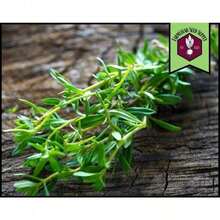 Vibrant Colors 37,900 Summer Seeds |     Heirloom, Non-GMO, Culinary Herb Cultivation, Easy-To-Grow Seed Package For Container Gardens, Satureja Hortensis - 150件 - 查看 3