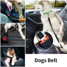 1pc Pet Car Seat Belt, Dog Retractable Seat Belt, Pet Leash, Car Seat Belt Nylon Seat Belt Heavy Duty And Durable Dog Car Seat Belt
