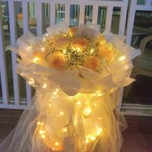 30 Pack Fairy Light String Lights 6.5ft 20 Led Waterproof Christmas Lights, Silver Wire Fireflies, Stars And Moon Lights, Bedroom DIY, Party, Wedding, Christmas, Birthday, Garden DIY Decoration - 彩色 - 查看 6