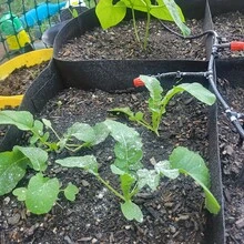 1pc 128 Gallon 8-Grid Breathable Grow Bag, Suitable For Vegetables, Flowers And Seedlings - Durable And Lightweight Plant Container With Net Pattern, For Indoor/Outdoor Use, Movable And Space-Saving Design, Home & Garden Decor, Vegetable Storage, Seedling Box, Classic Easy-To-Transplant Pot