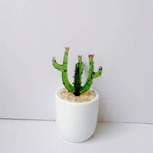 Colorful Creative Glass Plant Desk Decoration Glass Succulent Terrarium - Mini Cactus And Sprout Planter Decor Piece For Office And Home Gift Home Decor - Multicolor - View 20