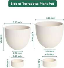 White Terracotta Self Watering Plant Pot - 2 PCS 6 Inch & 8 Terra Cotta With Drainage Hole And Saucer, Small & Large Clay Flower Pot With Tray, Plant Pot For Indoor Outdoor - 白色 - 查看 2