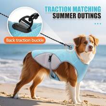 Hunde Kühlweste für den Sommer, leichtes Kühlshirt für kleine Hunde, verstellbare Sommer Hundetshirt Jacke für warmes Wetter, Hunde Kühlweste für kleine, mittlere und große Hunde