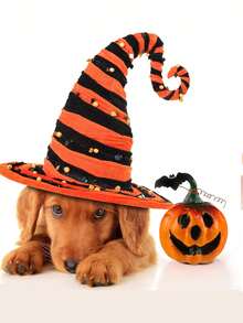 3/6/12件万圣节南瓜仿真南瓜模型仿真笑脸南瓜装饰泡沫南瓜道具万圣节家居桌面装饰假植物