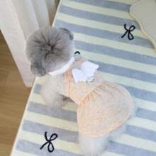 Robe de style coréen de 25 cm pour animaux de compagnie, robes d'été pour chiens/chats, tenues de princesse en maille respirante pour animaux de compagnie