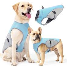 Hunde Kühlweste für den Sommer, leichtes Kühlshirt für kleine Hunde, verstellbare Sommer Hundetshirt Jacke für warmes Wetter, Hunde Kühlweste für kleine, mittlere und große Hunde