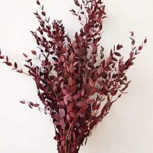 1. Eukalyptusblätter, natürliche getrocknete Blumenstiele, 100/200g echte Eukalyptuszweige für den Duschgebrauch, 2. 43cm konservierte frische Eukalyptusblätter, getrocknete Eukalyptuszweige, für Dekoration, Hochzeit, Heimdekoration, Rattanmaterial, Fotografie-Requisiten