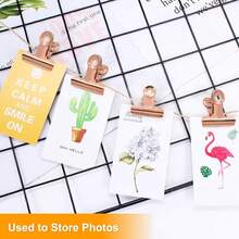 Coideal Silver Metal Hinge Clips - 20 Pack 2 Inch Large Bull Binder Paper Clips Clamp Office Pictures Photos, Kitchen Bags (50mm) - Rose Gold - View 11