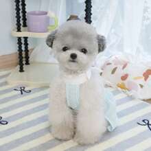 Robe de style coréen de 25 cm pour animaux de compagnie, robes d'été pour chiens/chats, tenues de princesse en maille respirante pour animaux de compagnie