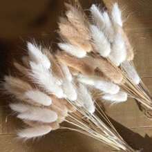 Set da 30/60/120 pezzi di profumo naturale di erba coda di coniglio lagurus ovatus - riempitivi per vasi morbidi e soffici, perfetti per decorazioni natalizie, di San Valentino, della Festa della Mamma, compleanni, lauree, autunno