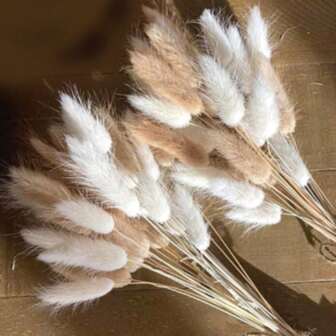 30/60/120Piece Natural Lagurus Ovatus Bunny Tail Grass Bouquet - Fluffy Vase Fillers For Home, Weddings, And Parties Perfect For New Year, Valentine's Day, Mother's Day Decor,Fall Decor,Autumn