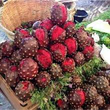 174pcs Pitaya Color Seeds - Premium Seeds For Home And Business - 174 - View 2