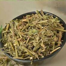 200seeds Motherwort Seeds Four Seasons Balcony Potted Chinese Medicinal Materials Edible Seedlings Motherwort Seeds Flower Seeds