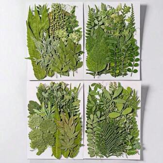 35 件装干花和叶子，DIY 手机壳材料，香薰蜡烛，树脂工艺品，摄影道具，压花，剪贴簿，花艺化妆，相框，杯垫，书签，邀请函，手工珠宝，适用于万圣节，圣诞节礼物等。
