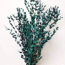 1. Eukalyptusblätter, natürliche getrocknete Blumenstiele, 100/200g echte Eukalyptuszweige für den Duschgebrauch, 2. 43cm konservierte frische Eukalyptusblätter, getrocknete Eukalyptuszweige, für Dekoration, Hochzeit, Heimdekoration, Rattanmaterial, Fotografie-Requisiten