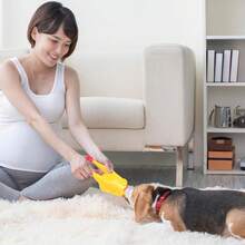 Screaming Chicken, Yellow Rubber Duck, Squeaky Rubber Chicken Prank Novelty Toys, Suitable For Dogs And Pets - Multicolor - View 10