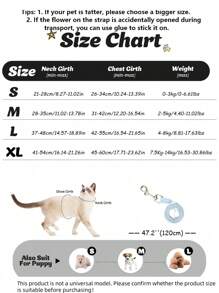 Small Dog Harness Vest & Leash Set For Teddy, Bichon, Pomeranian, With Chest And Back Strap, Ideal For Puppy Walking