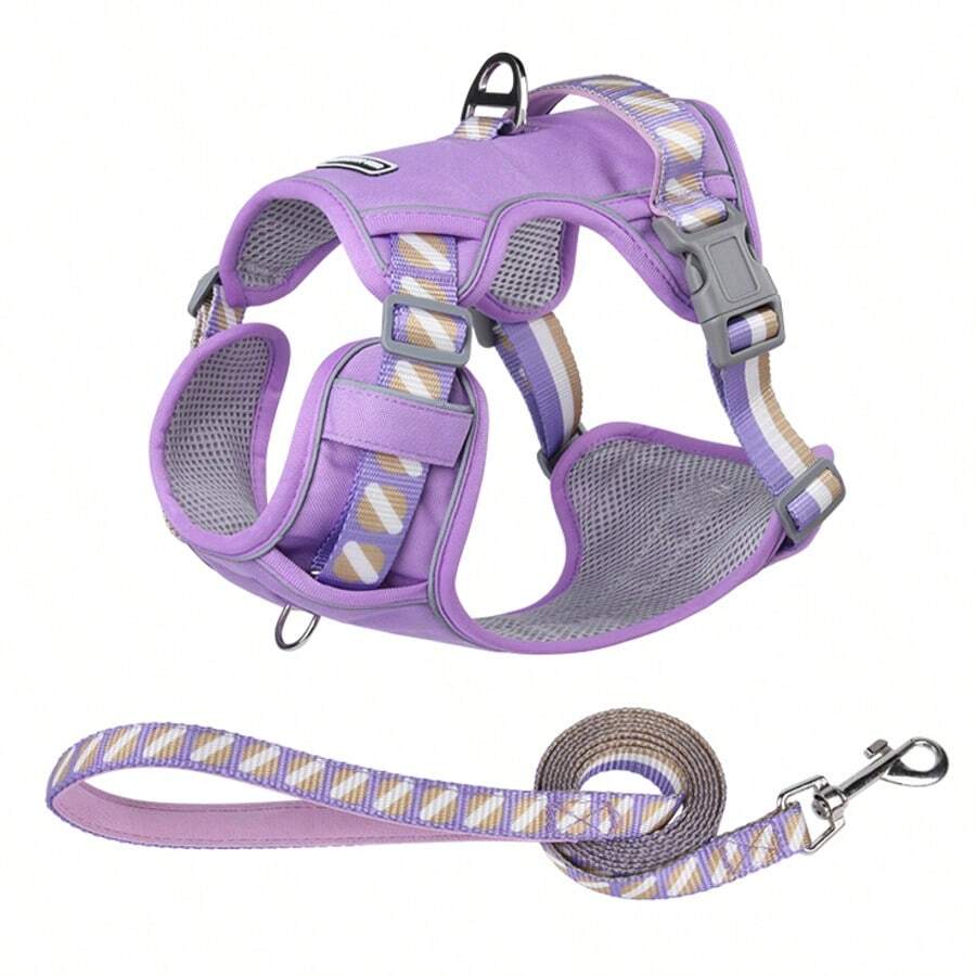 Fruit Harness And Leash Set For Small, Medium, And Large Dogs - Violet Purple - View 1