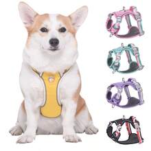 Fruit Harness And Leash Set For Small, Medium, And Large Dogs - Violet Purple - View 4