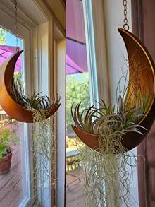 1pc Boho Moon Shaped Hanging Planter - Metal Wall Mounted Succulent Flower Pot, With Hanging Rope For Indoor Outdoor Decor, Rustic Gold Black Finish, No Electricity, Metallic Luster, Moon Shape, Wall Decor Hanging Basket For Succulents, Cactus, Plants, Outdoor Garden Decor, Patio, Hanging Gardening Supplies, Small Plant Decor, Gift For Plant Lovers, Halloween, Christmas, Thanksgiving Decoration