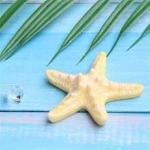 1 Peça Presilha de Cabelo com Desenho de Estrela do Mar, Presilha de Cabelo da Praia para Mulheres, Acessório de Cabelo da Praia