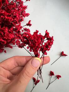 25/50/100/300 قطعة من زهور العبق الصغيرة والزهور المجففة الأخرى - لفن صناعة القوالب الراتنجية ، باقة الزهور البيضاء العاجية للاكسسوارات الشعر ، إكليل الزفاف ، زهرية الطاولة ، ديكور المنزل