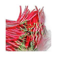 Long Pepper Seeds Two Gold Bars Seeds Spicy Two Branches Of The Virginity Tree Pepper Seeds Four Seasons Seeds Simple Spring Vegetables