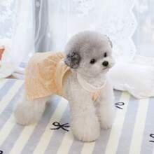 Robe de style coréen de 25 cm pour animaux de compagnie, robes d'été pour chiens/chats, tenues de princesse en maille respirante pour animaux de compagnie