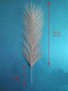 مزهرية مرجانية للديكور، مزهرية فخمة مزينة بنبات البامباس، مزهريات زهور حديثة لوسط الطاولة أو المنزل أو غرفة المعيشة أو المكتب أو الزفاف، مزهرية دونات مناسبة لديكور المنزل