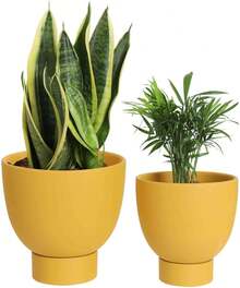 Yellow Terracotta Self Watering Plant Pot - 2 PCS 6 Inch & 8 Inch Terra Cotta Plant Pot With Drainage Hole And Saucer, Small & Large Clay Flower Pot With Tray, Plant Pot For Indoor Outdoor Plant - Mustard Yellow - View 1